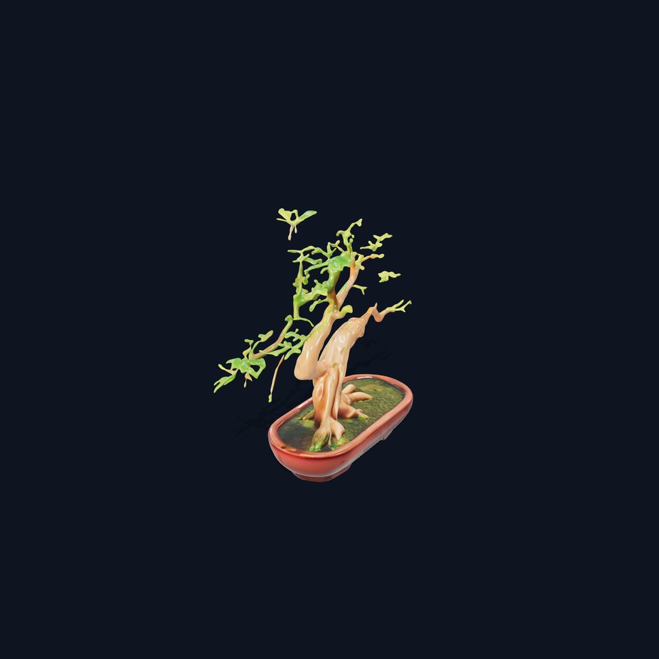 Realistic Bonsai Tree D Model Pack